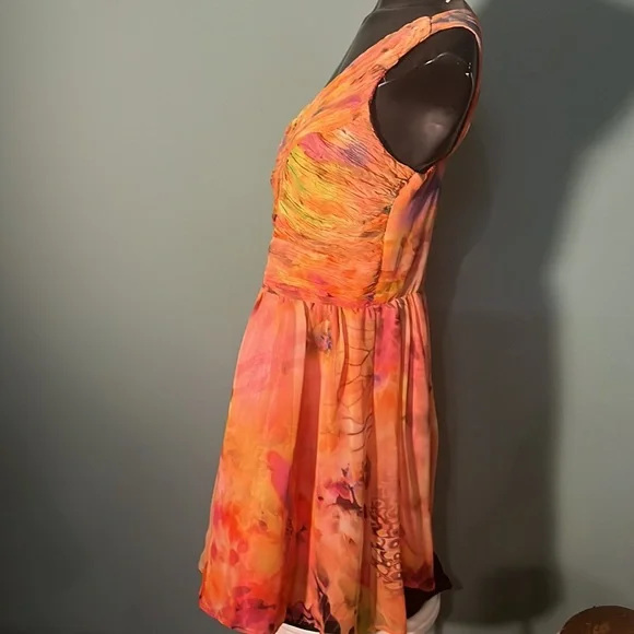 Delhias Dress - Picture 4 of 6